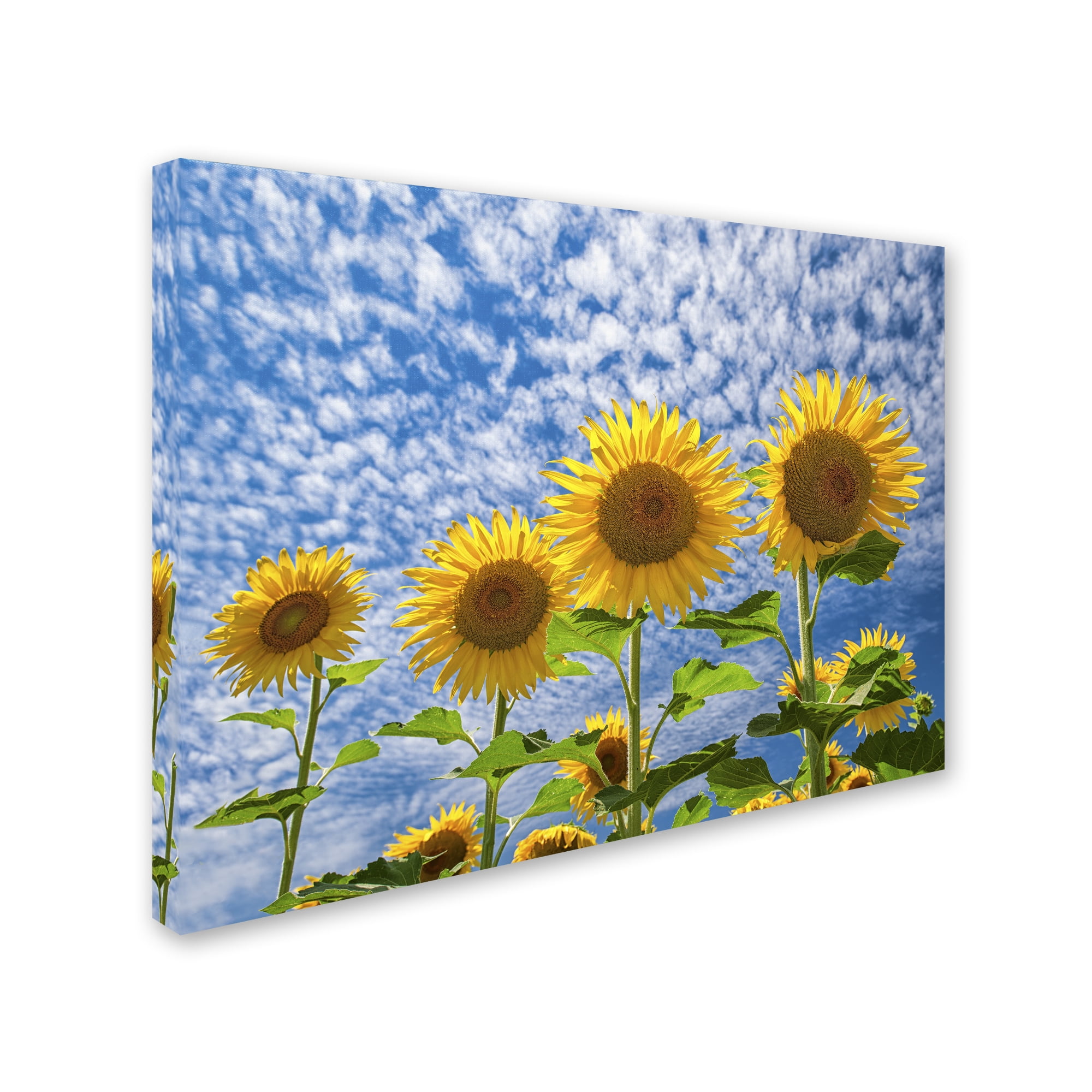 Trademark Fine Art "The Four Sisters" Canvas Art by Michael Blanchette Photography
