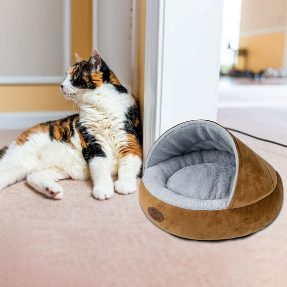 Cardboard Pet Carrier