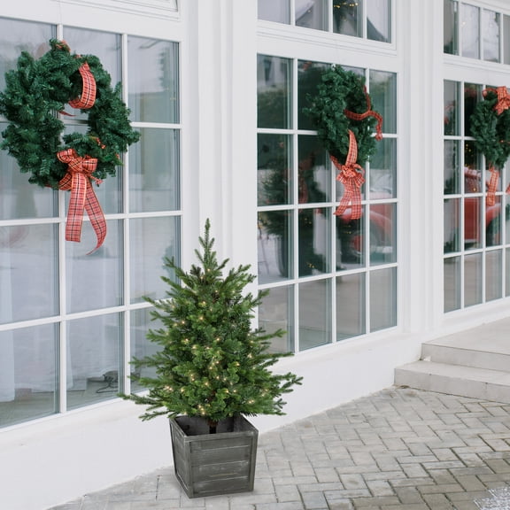 Northlight Real Touch™️ Pre-Lit Potted Deluxe Russian Pine Artificial Christmas Tree - 4' - Warm