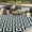 213, variant on HERMOCEClearance Outdoor Rugs, Waterproof Outdoor Rug, Reversible Outdoor Deck Rug, Large Floor Mat and Area Rug for Camping, Patio, Backyard, Deck, Picnic, Beach 9*12