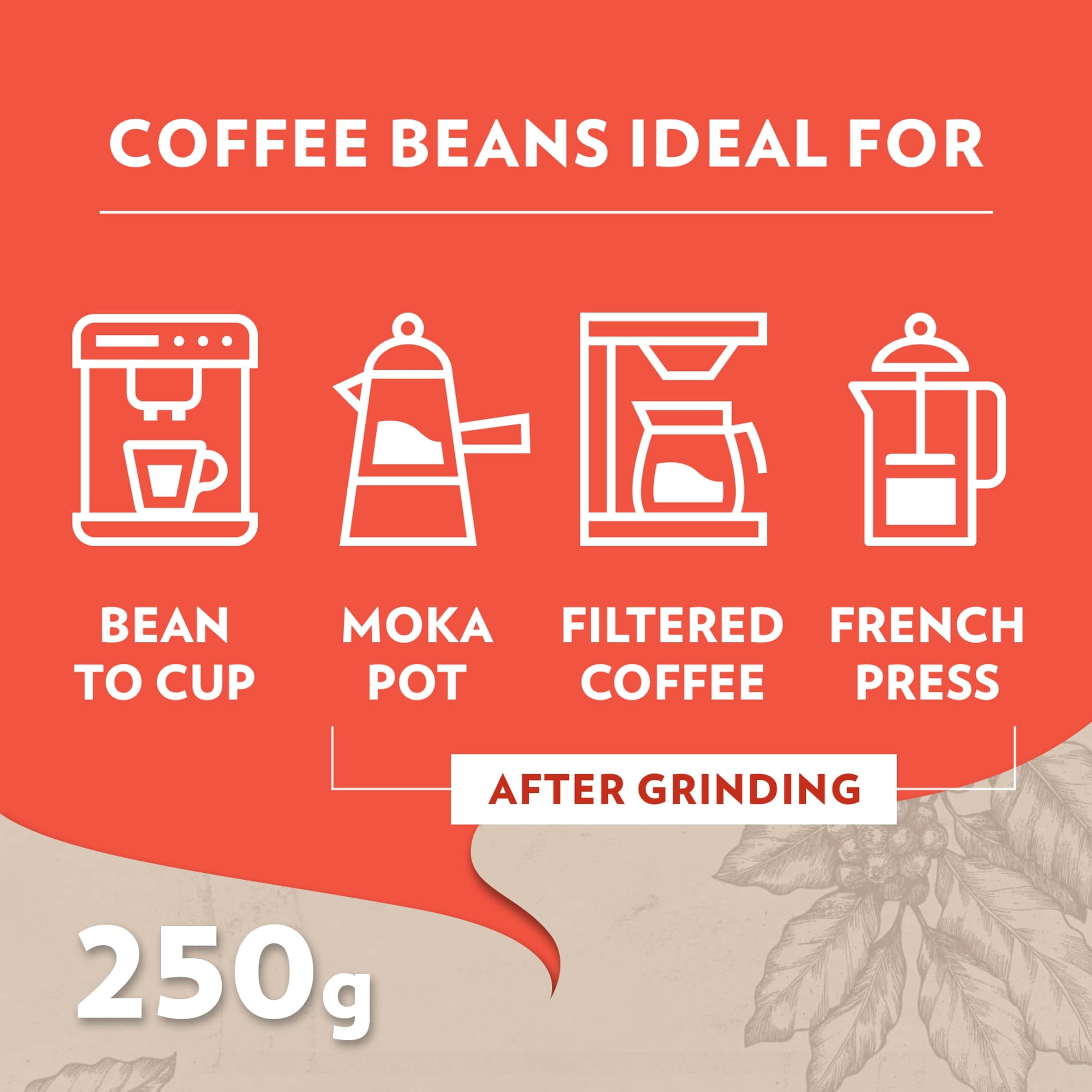Lavazza Tales of Roma Coffee Beans 250g, Imported from Britain