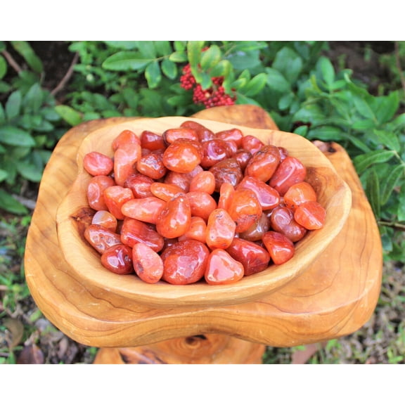 1 lb Bulk Lot Carnelian Tumbled Stones, Medium (Crystal Healing) US Seller 16 oz
