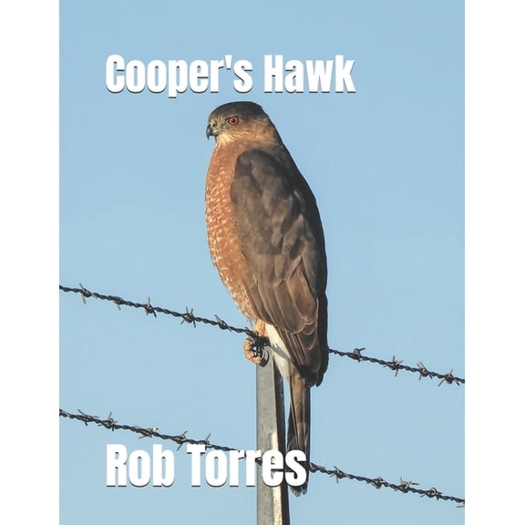 Cooper's Hawk, (Paperback)