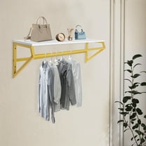 Gold Clothes Rack with Top Shelf, Wall Mounted Garment Hanger Display for Home
