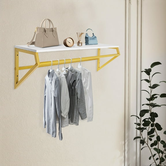 Gold Clothes Rack with Top Shelf, Wall Mounted Garment Hanger Display for Home