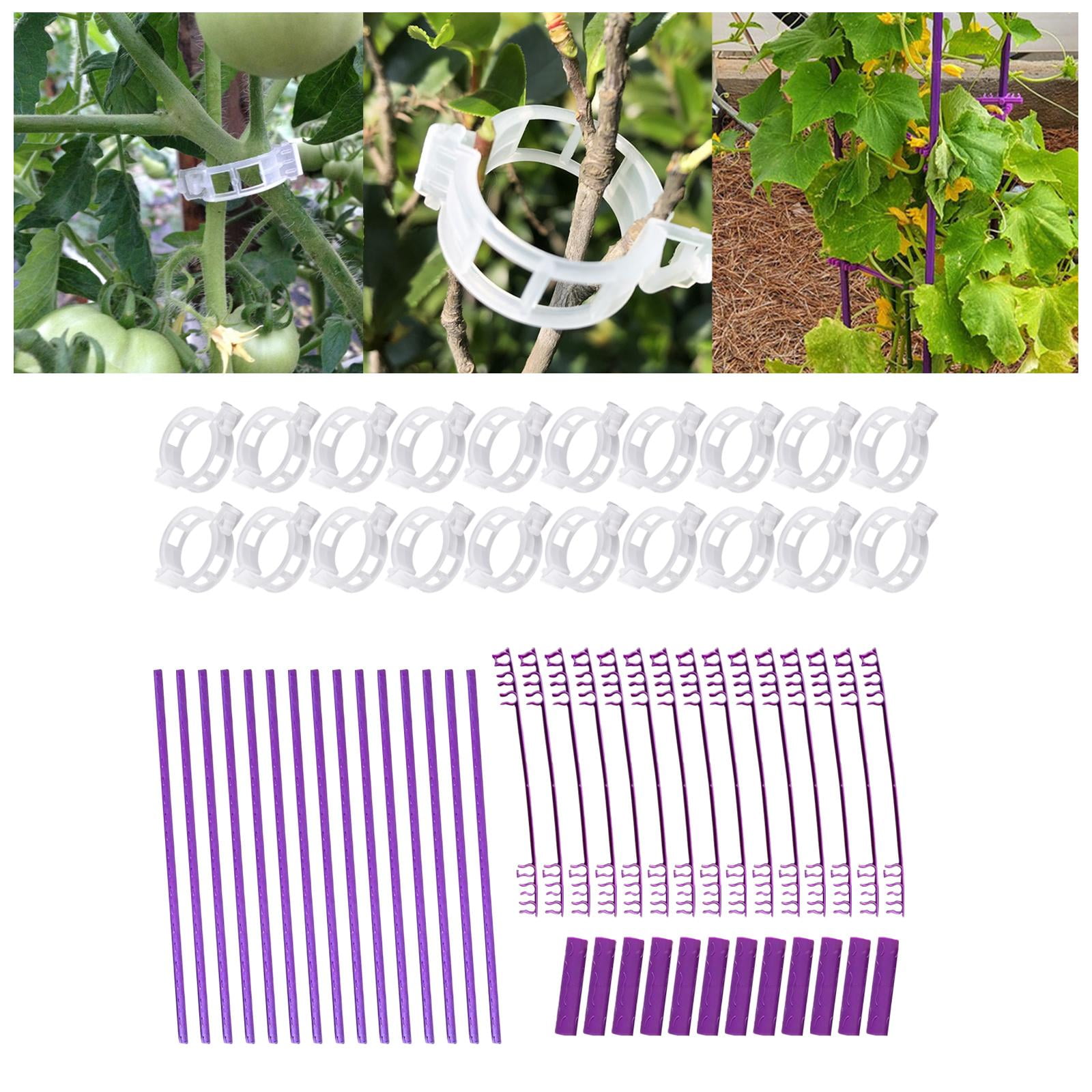 Nishiyuenyi Adjustable Climbing Plant Support Plant Trellis for Outdoor Vegetable Tomato