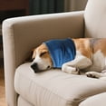thumbnail image 5 of GASTROPOD 2026 New No Flap Ear Wraps for Dogs Dog Ear Wrap Breathable Pet Calming Headband for Firework Thunderstorm Grooming Shows City Living Travel, 5 of 7