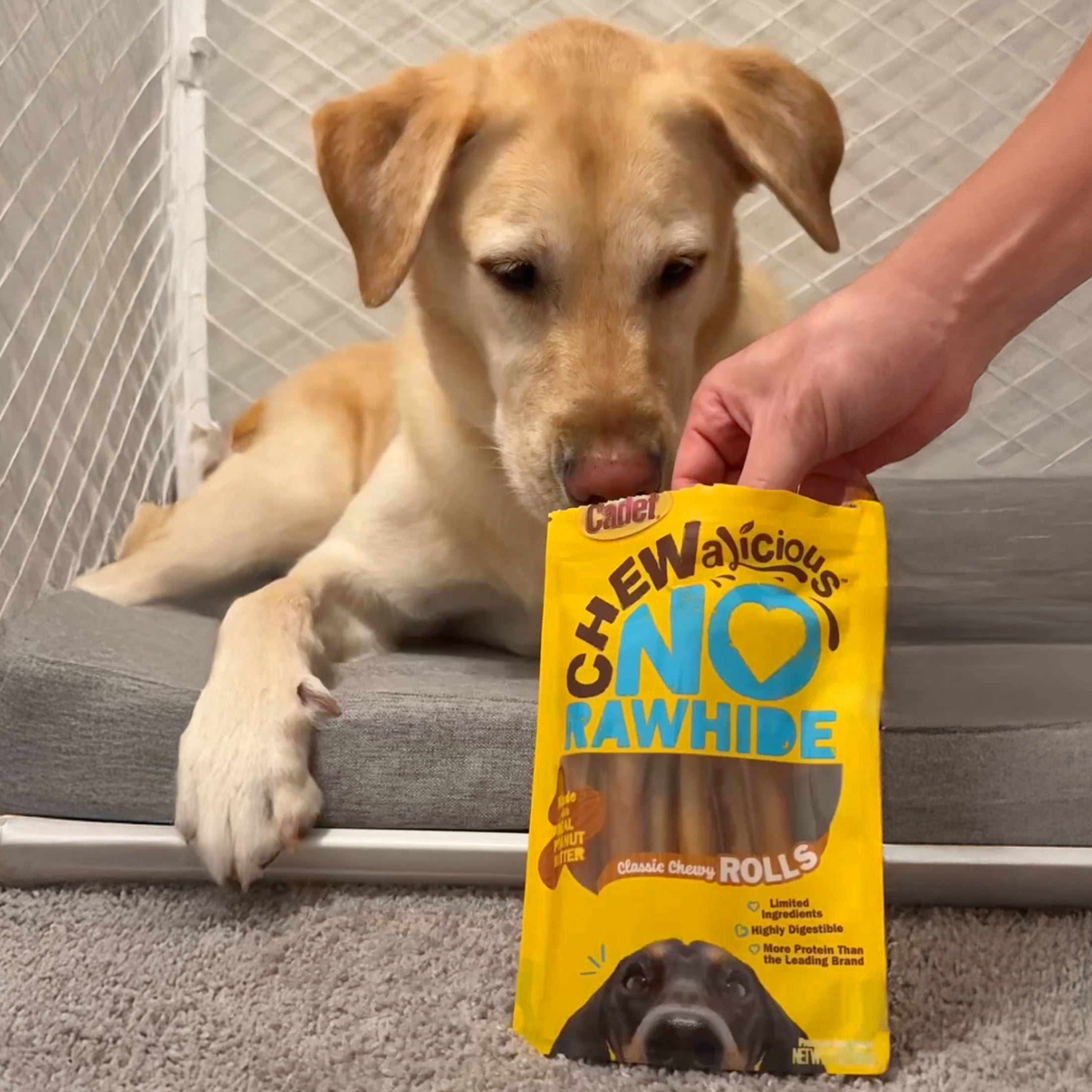 Cadet Chewalicious Dog Treats Chewy Rolls, Rawhide Free Chew Sticks for Dogs, Peanut Butter Flavor, 10 Count