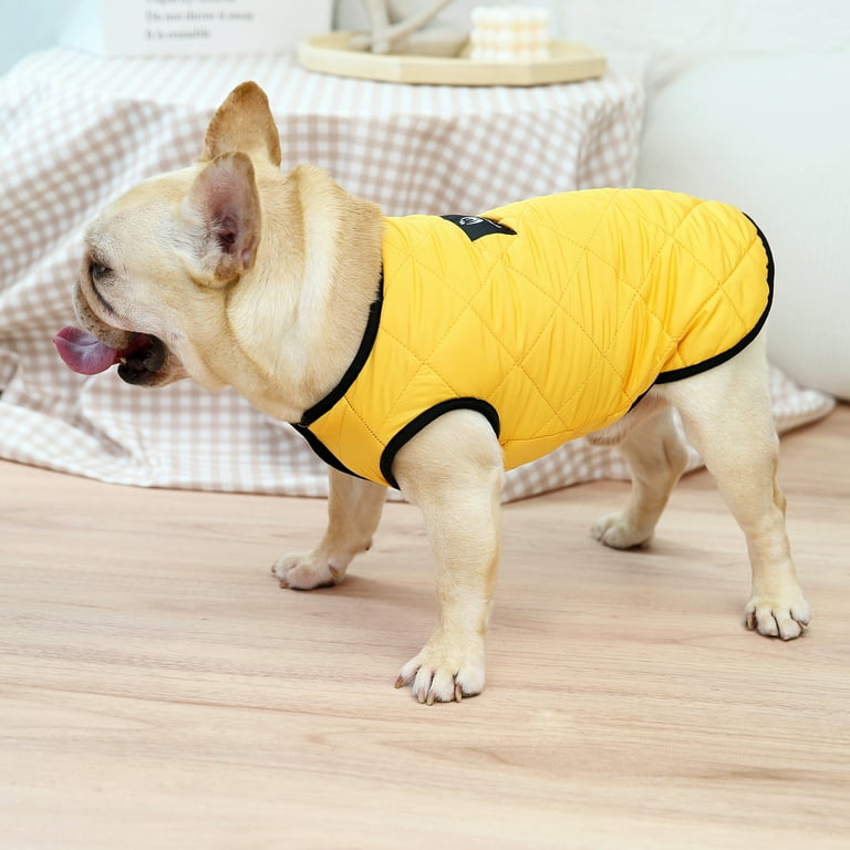 Walmart top dog coats