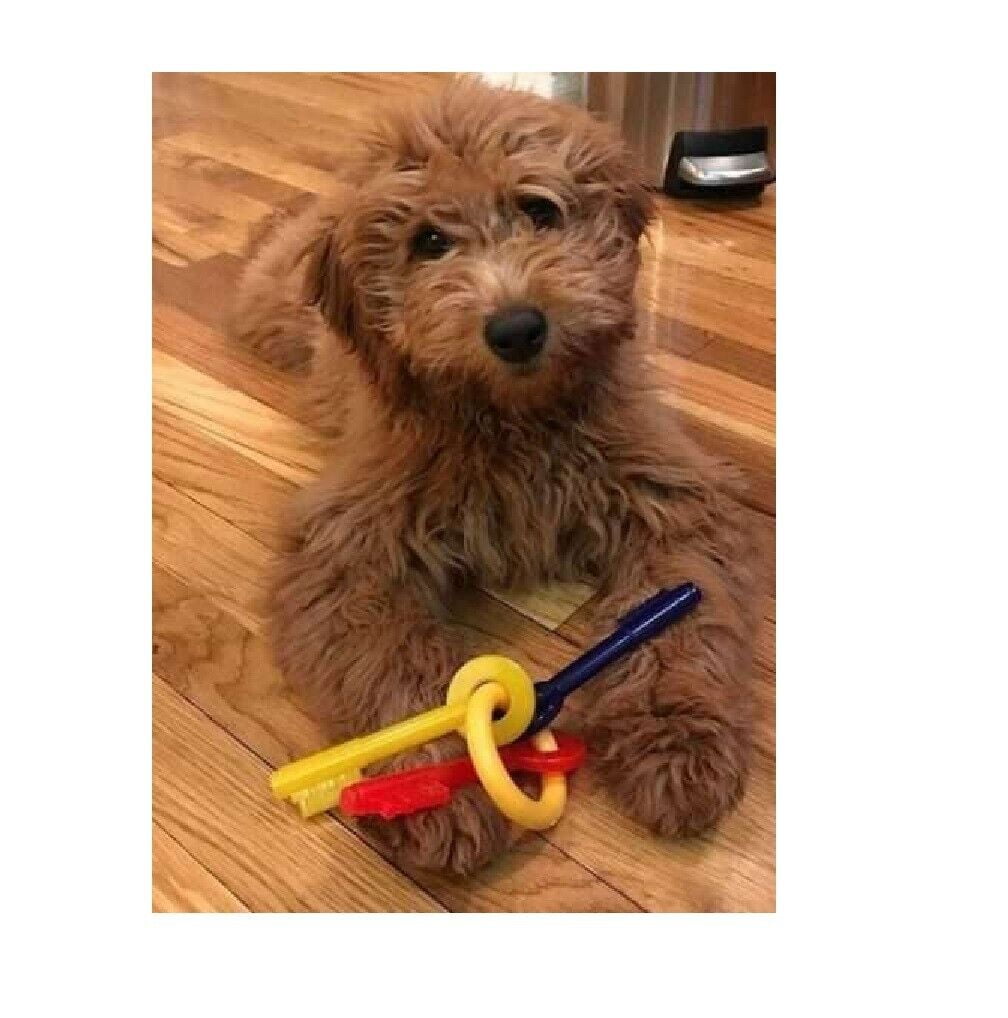 Puppy Teething Keys, Rings or Pacifiers Durable Dog Dental Health Chew Toys (7" Small Teething Keys)