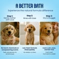 thumbnail image 4 of Champú para perros Scrubby Tails, harina de avena orgánica para cachorros, 480 ml, sin perfume, 4 of 9