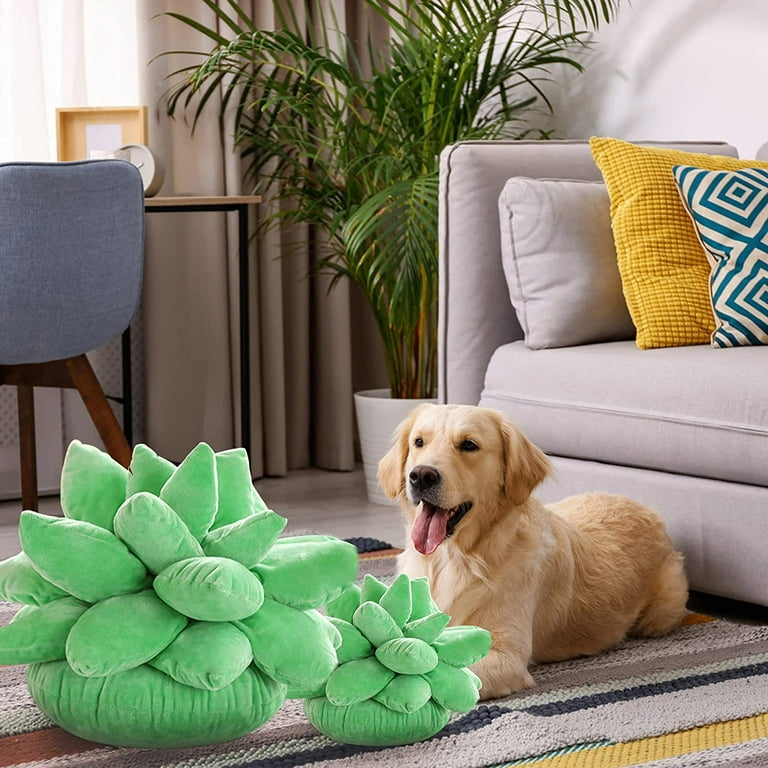 Cactus pillow cheap