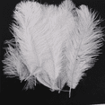 thumbnail image 1 of 100 Pcs de Plumes d'Autruche Blanches Naturelles 20-25cm Mariage DIY, 1 of 7