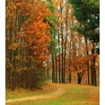 thumbnail image 3 of Fall Duvet Cover Set, Cloudy Overcast Day in September Shrubs Pines Sidewalk in the Park Forest, Decorative 2 Piece Bedding Set with 1 Pillow Shams, Twin Size, Orange Green Brown, by Ambesonne, 3 of 3