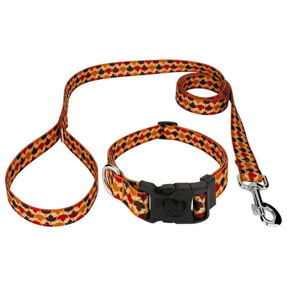 Country Brook Petz® Deluxe Nature Walk Dog Collar and Leash, 2XS