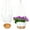 WHITE, variant on 2 Pack 10 inch Plastic Green Hanging Planters with 3 Hooks,Hanging Plant Pot Basket with Drainage Hole for Garden Home