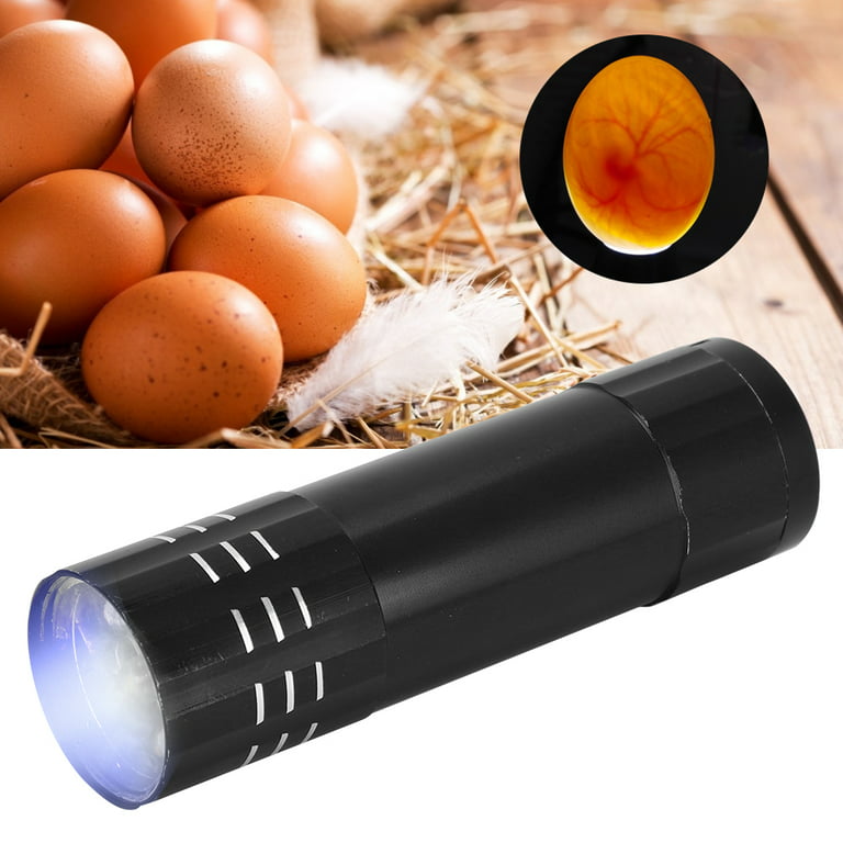 Quail Egg Candler, 9 Light Bright Egg Candling Lamp, For Black