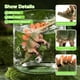 thumbnail image 3 of Figuras jurásicas realistas RISUNTOY de Dinosaur Toys, 45 unidades, 3 of 8