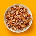 thumbnail image 2 of Raisin Nut Bran Cereal, High Fiber Cereal, Made with Whole Grain, 20.8 oz ( pack of 2 ), 2 of 5