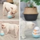 thumbnail image 4 of Tumbler Leaky Food Bowl Innovador Interesante Multifuncional Dual Trackballs Alimentador De Plástico Para Mascotas Tazón De Comida Roly-Poly Toy Para Perros Gatos Mascotas Moyic PT001003-00, 4 of 7