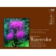 thumbnail image 1 of DIXONTIC/ STRATHMORE DIXON TIC / STRATHMORE  SM47218, 1 of 1