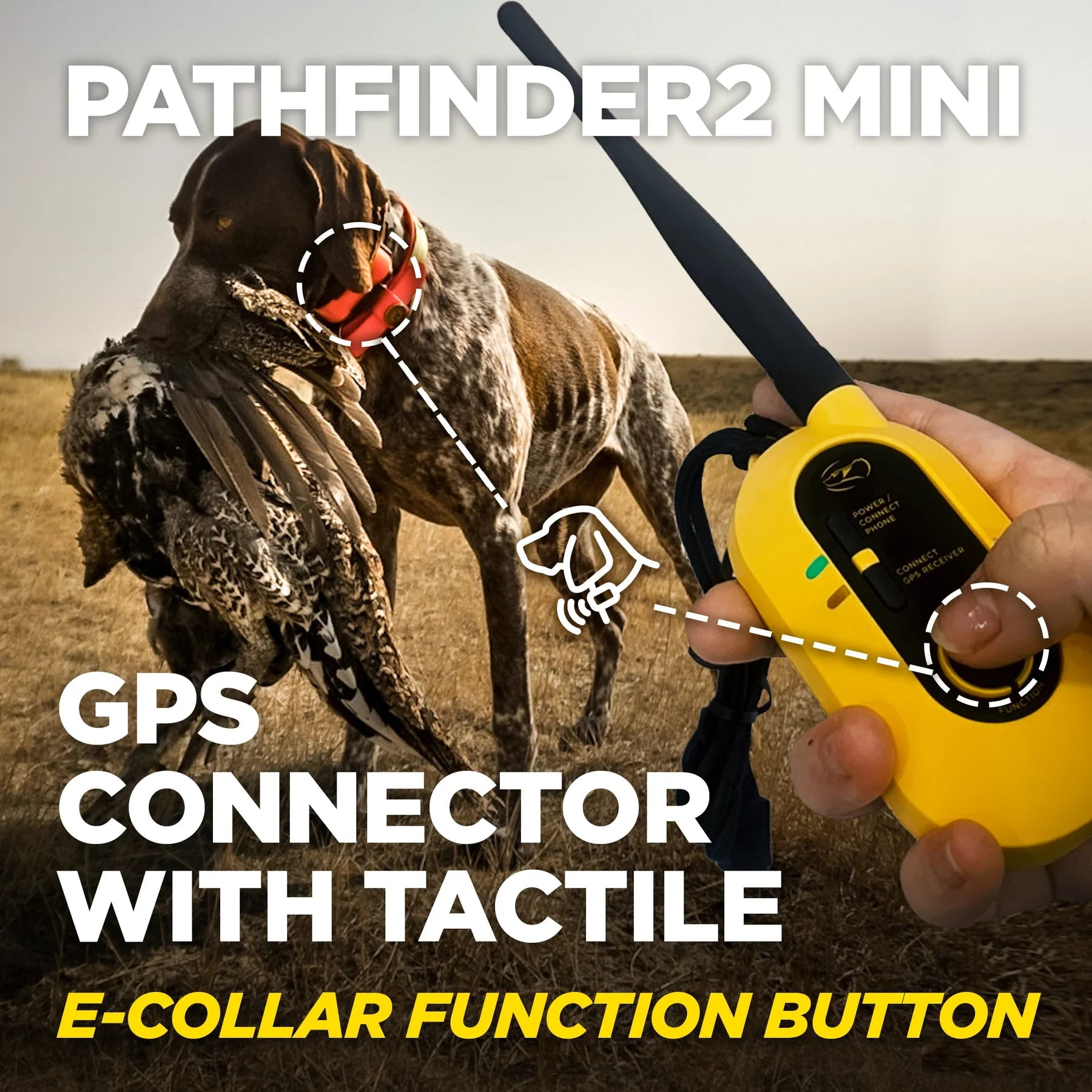 Dogtra PF2 MINI RX GREEN Mini Additional GPS Dog Tracking & Dog Training Collar, Green