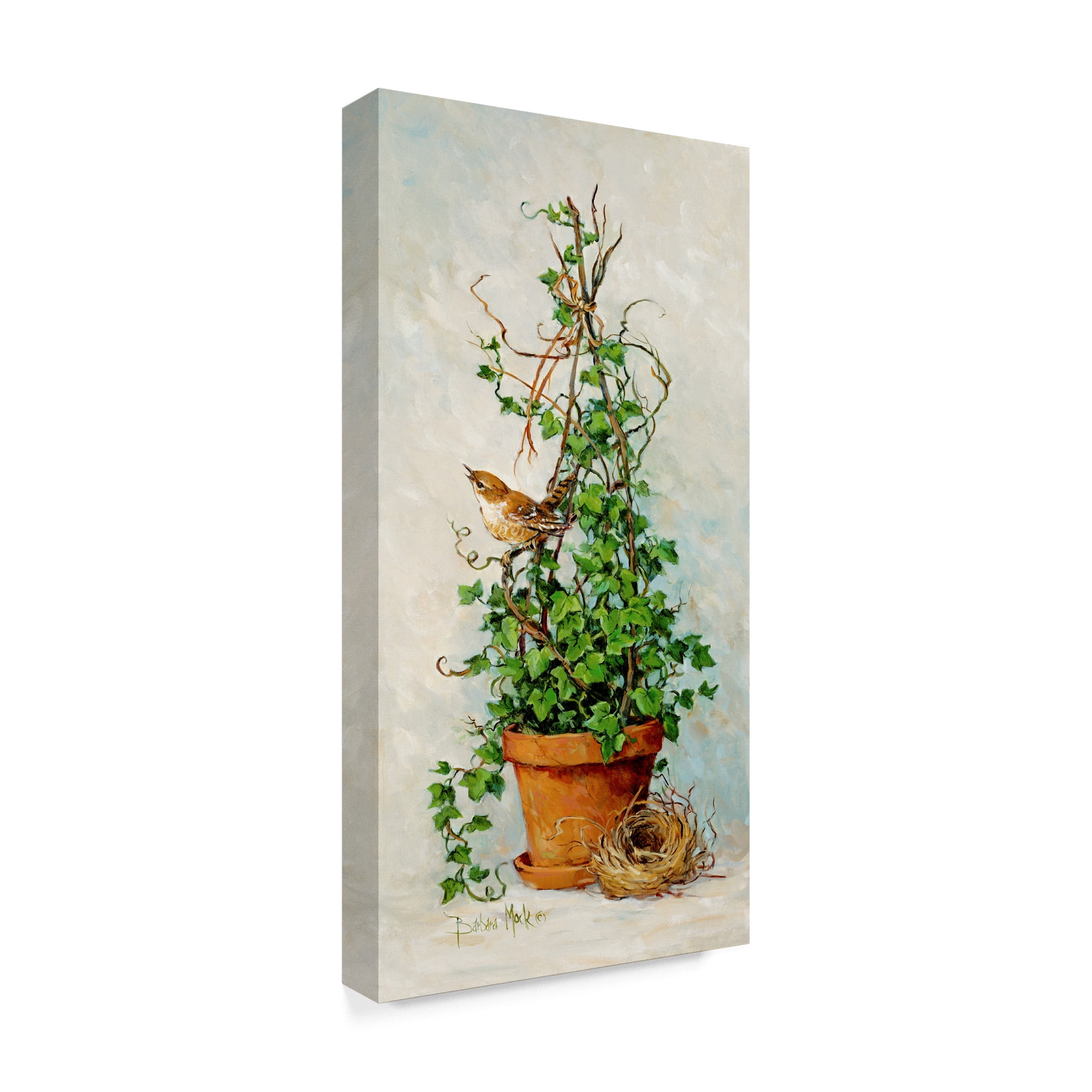 Trademark Fine Art Floral Canvas Art ' Spring Nesting 1 ' by Barbara Mock