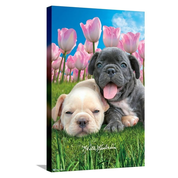 Keith Kimberlin - Bulldog Puppies Canvas Wall Poster, 14.725" x 22.375"