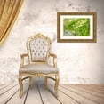 thumbnail image 3 of Mahan, Kathy 14x11 Gold Ornate Wood Framed with Double Matting Museum Art Print Titled - Big Leaf Maple I, 3 of 4