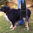 thumbnail image 4 of Correa para perros: soporte para patas traseras para perros grandes, para perros discapacitados, con asistencia para perros, 4 of 5