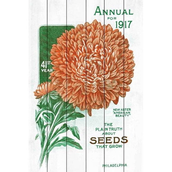 Marmont Hill "Seed Art 2" Painting Print on White Wood