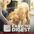 thumbnail image 4 of Hill's Science Diet Adult Perfect Weight Canned Dog Food, Chicken & Vegetable Entrée, 12.8 oz, 12 Pack wet dog food, 4 of 10