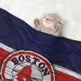 Boston_Red_Sox Baseball Team Custom Pet Thermal Blanket Pet Cat and Dog