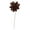 Brown, variant on Vickerman Natural Botanicals 6" Yellow Maize Dahlia on 18" wire stem- 6 stem/bag. Peserved.