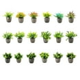thumbnail image 3 of Decodeary Green Eco-friendly Artificial Money Tree In Pot Long-lasting Durability Realistic Appearance yellow rose 1Set, 3 of 6
