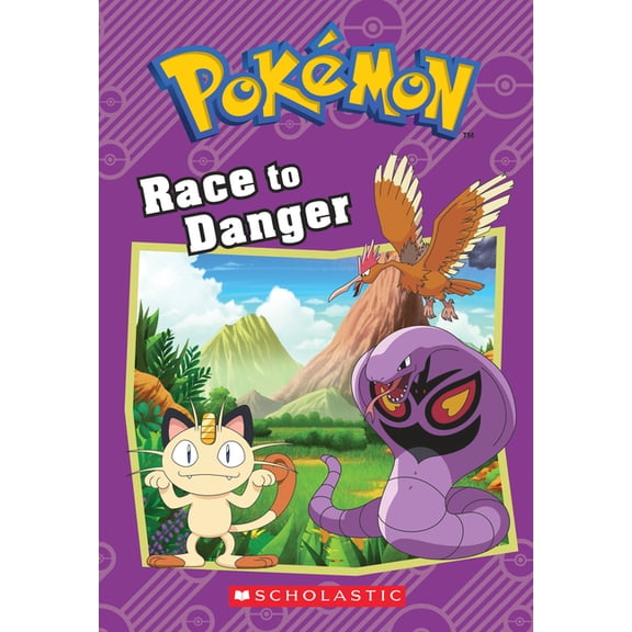 Pokémon Chapter Books Race to Danger (Pokémon: Chapter Book): Volume 13, (Paperback)