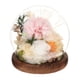 thumbnail image 3 of Regalo de flores preservadas Regalos del día de la madre para esposa Regalo único a largo plazo con flores reales ligeras para su novia esposa mamá champán, 3 of 8