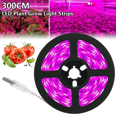 Willstar 3M intérieur étanche USB plantes poussent bande lumineuse LED à  spectre complet ABS poussent bande lumières lampe pour fleur de plante  d'intérieur