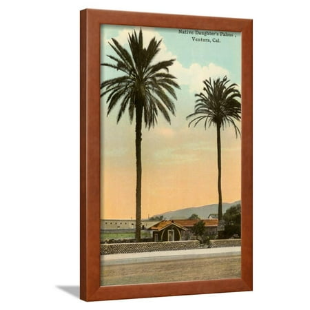 Palm Trees Ventura Framed Print Wall Art Palm Trees Ventura Framed Print Wall Art