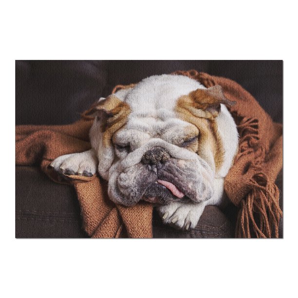 English Bulldog Sleeping On Couch Photography A 1000 Piece Jigsaw Puzzle For Adults Made In Usa Walmart Com