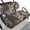 Buck Camo, variant on Pzuqiu Golf Cart Seat Covers, Compatible with Golf Carts, Suitable for Ezgo Breathable, Orange Camo