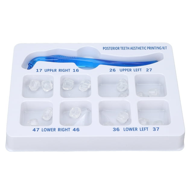 Kit de yeso estético para dientes posteriores, Impresión estética de dientes posteriores Kit de impresión estética para dientes posteriores Kit de impresión estética para dientes dentales Artesanía excepcional