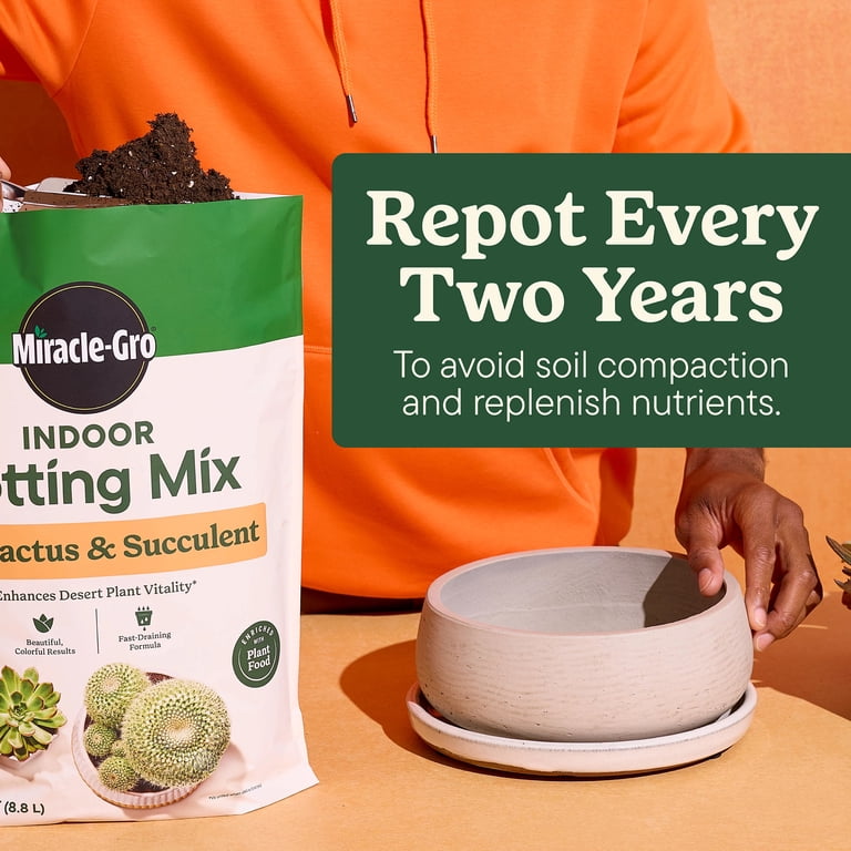 (2 pack) Miracle-Gro Indoor Potting Mix for Cactus and Succulent,  Fast-Draining Formula, 8 qt.