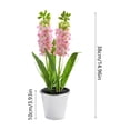 thumbnail image 3 of Hyacinth Bonsai Plastic Potted Plants Simulated Silk Flower Lifelike Home Decoration Suitable For Desktop Office And Wedding Centerpiece Decoration, 3 of 6