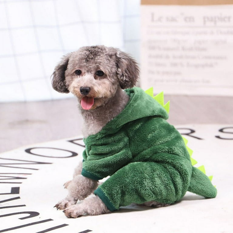Dinosaur puppy costume hot sale