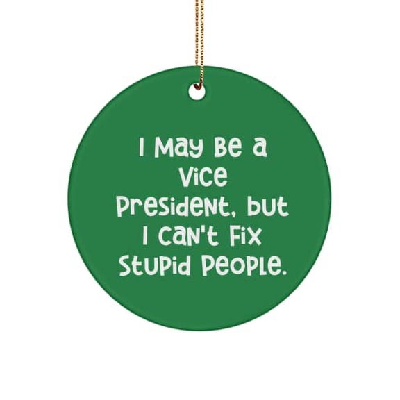 I May Be a Vice President, but I Can't Fix Stupid People. Vice President Circle Ornament, Unique Vice President , for Men Women