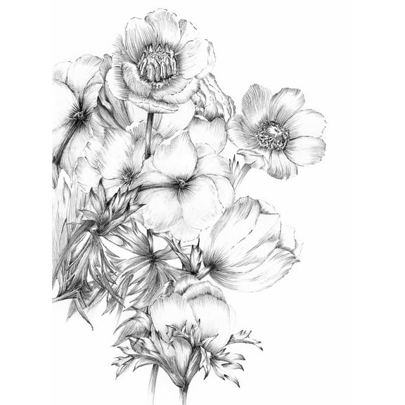 Komar Enchanted Jungle Unpasted Non Woven Wall Mural, 98-in by 145-in