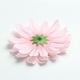 thumbnail image 5 of Margarita de La Cabeza de Flor Artificial 20pcs para La Decoración de de Bricolaje, 5 of 9