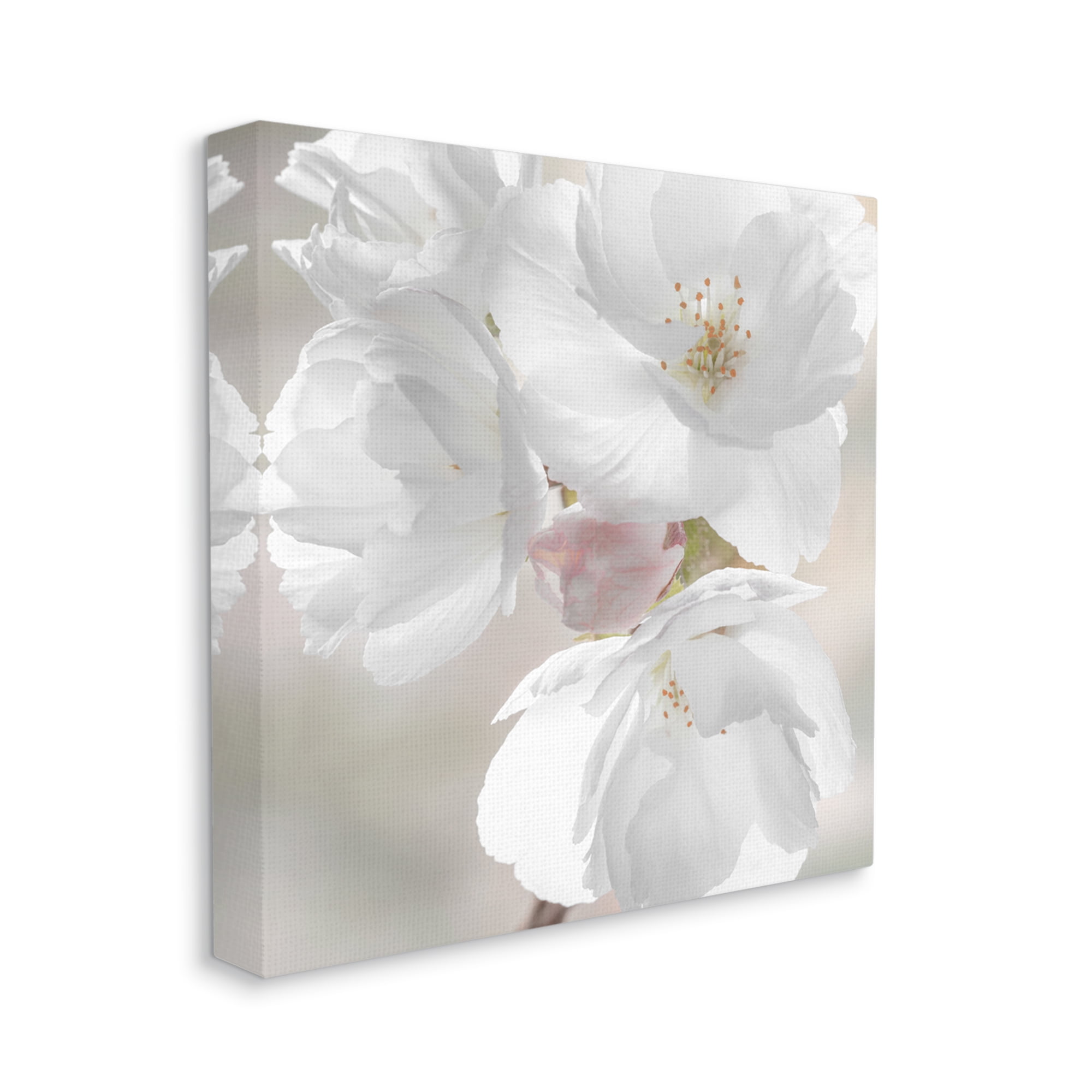 Stupell Industries Apple Blossom Close Up Botanical & Floral Photography Gallery Wrapped Canvas Art Print Wall Art, 17 x 17