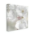 thumbnail image 4 of Stupell Industries Apple Blossom Close Up Botanical & Floral Photography Gallery Wrapped Canvas Art Print Wall Art, 17 x 17, 4 of 8